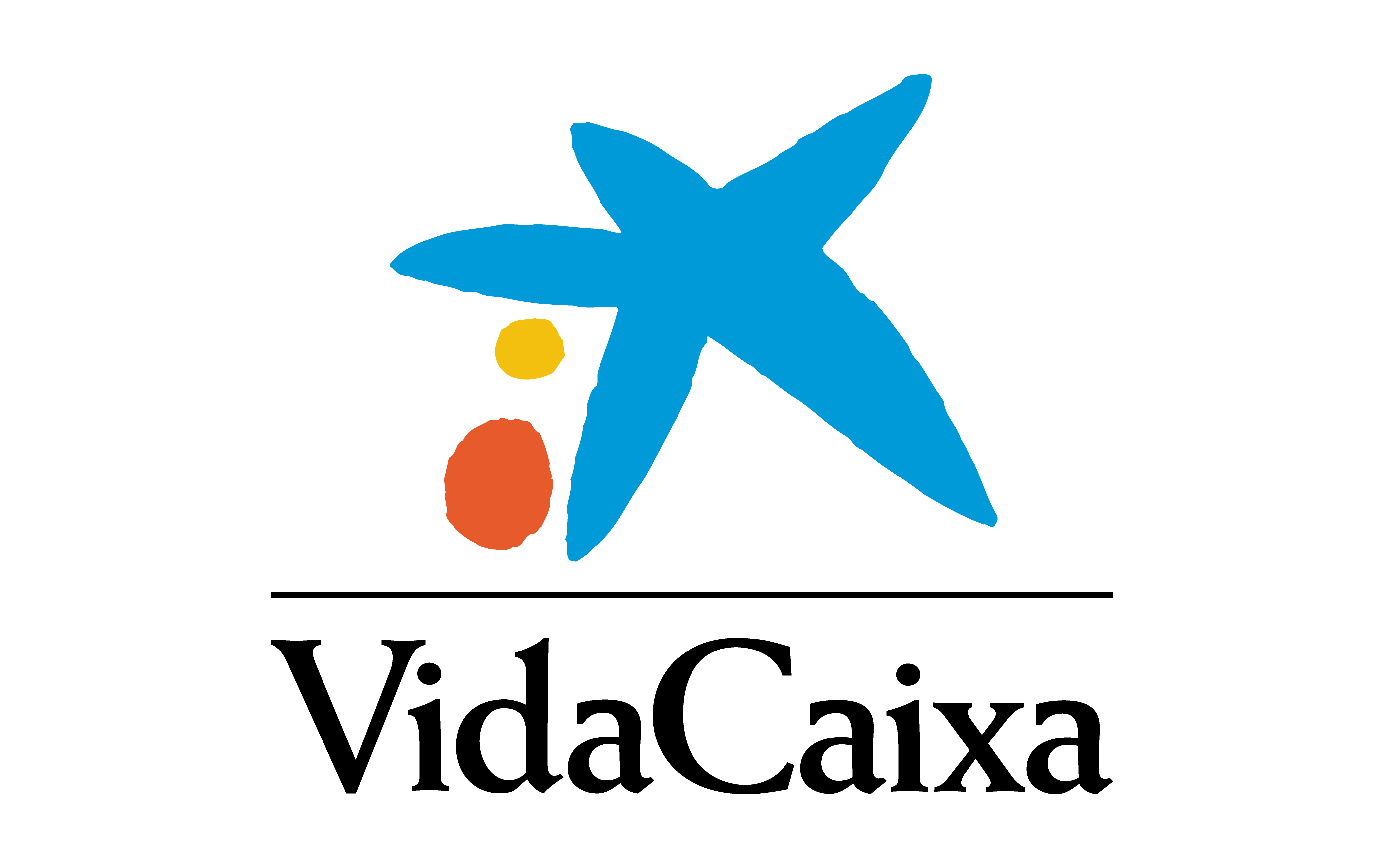 vidacaixa_ok_1642065385